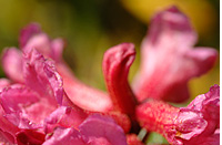 Jižní Tyrolsko - Dolomity - Dovolená